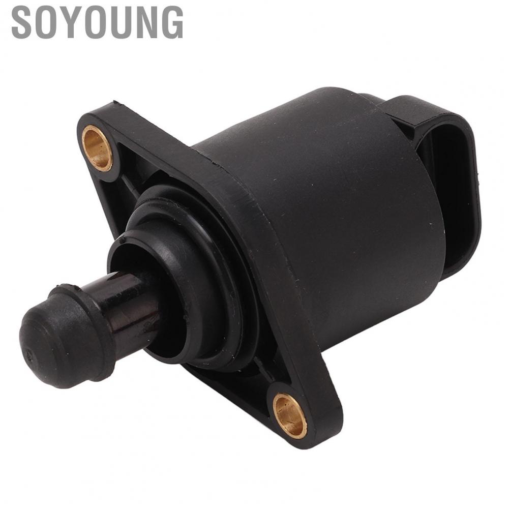 Soyoung 420665941 Idle Air Control Valve IAC Valve Professional Abrasion Resistant for ATV