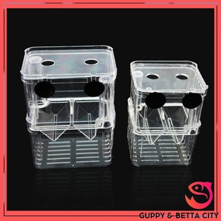 Lồng đẻ cá bảy màu - 2 ngăn/1 ngăn