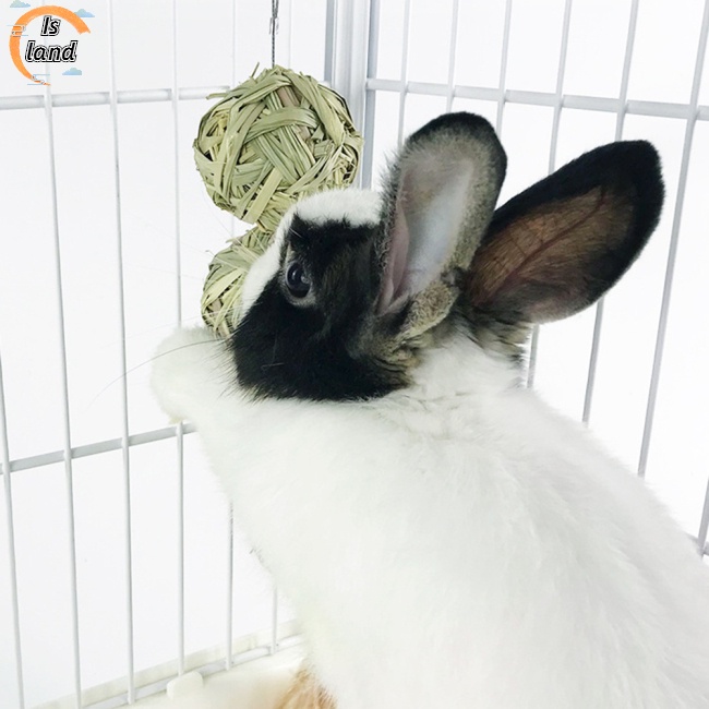 Đồ Chơi Bóng Rơm Tự Nhiên Treo Lồng Nuôi Thú Cưng Thỏ / Chuột Hamster Giảm Căng Thẳng