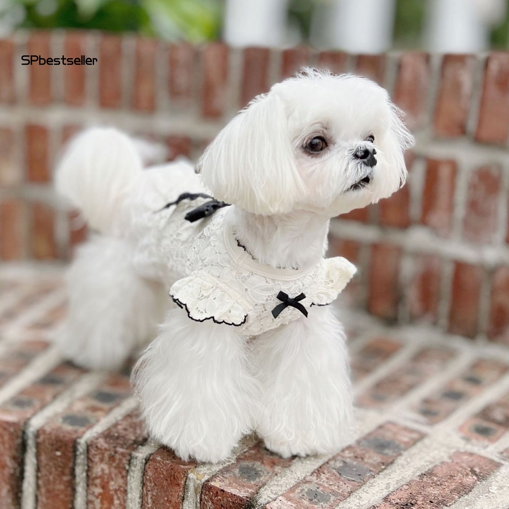 Đầm Hóa Trang Công Chúa Xinh Xắn Cho Cún Cưng