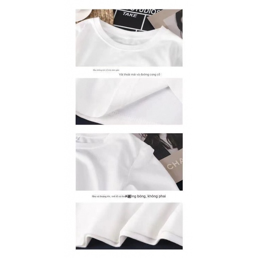 Áo Thun 100% Cotton Tay Ngắn In Hình Trái Cây Màu Sắc Thời Trang Cho Nữ
