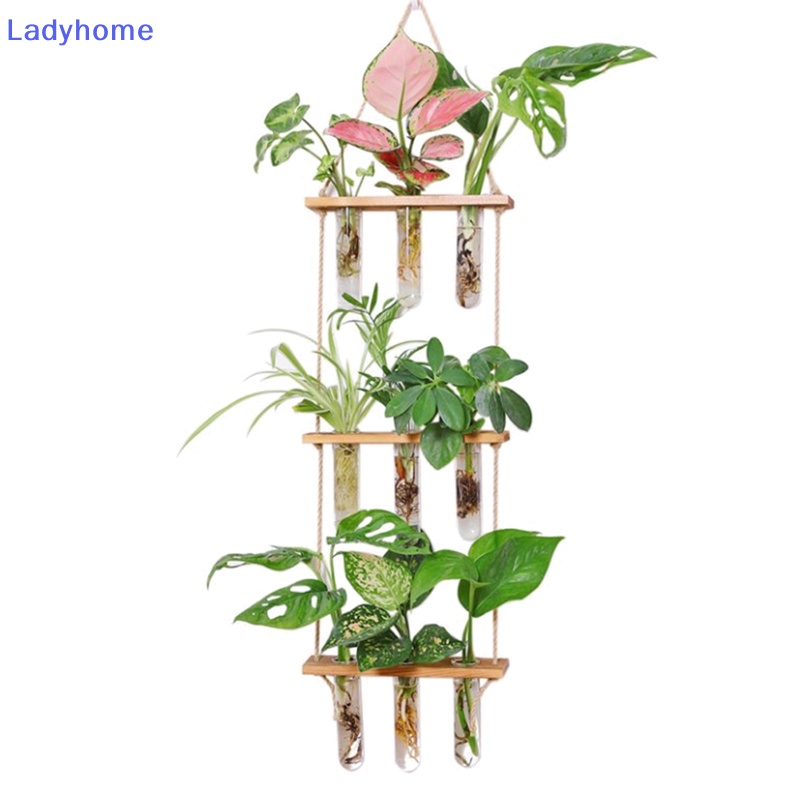 Móc Treo Đĩa Vinyl Dán Tường Siêu Dính Cho Phòng Ngủ