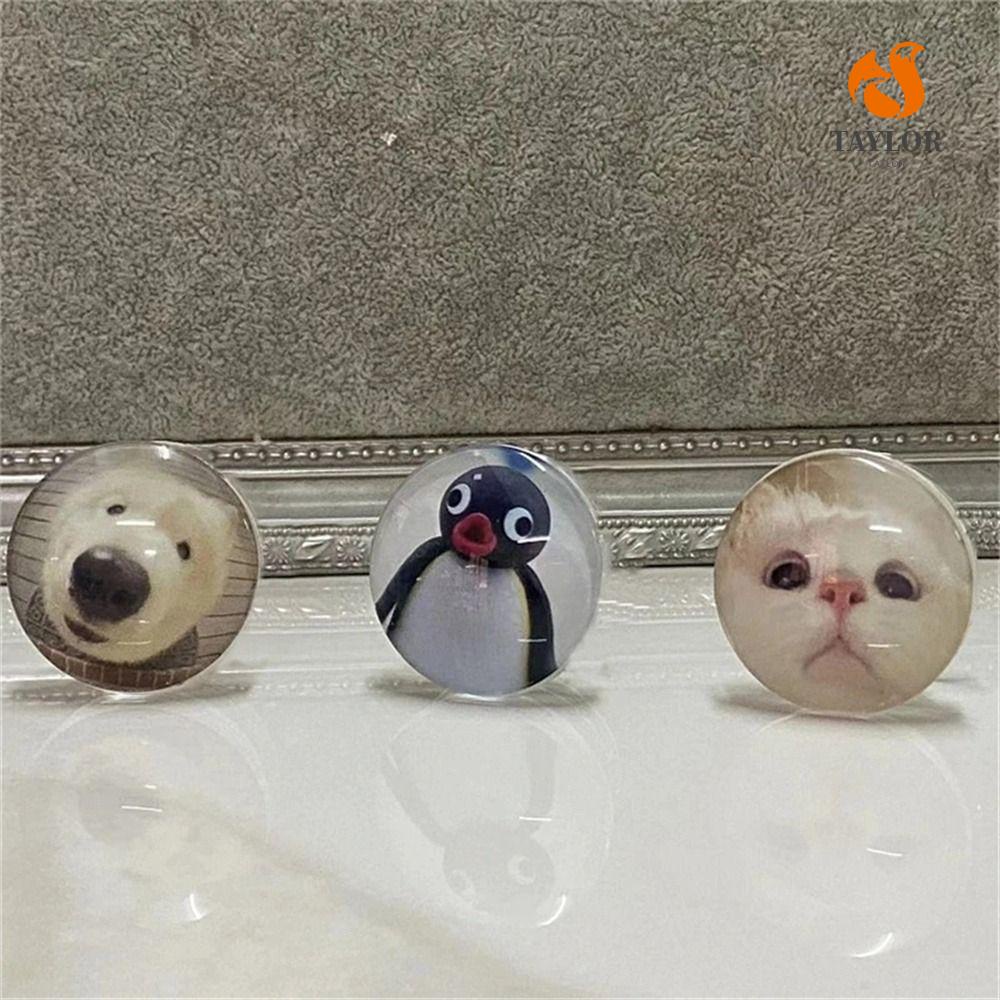 Giá Đỡ Điện Thoại Hình Chó Mèo Phong Cách Hàn Quốc TAYLOR1|Dụng Cụ Kẹp Tay Cầm Tok Tiện Lợi