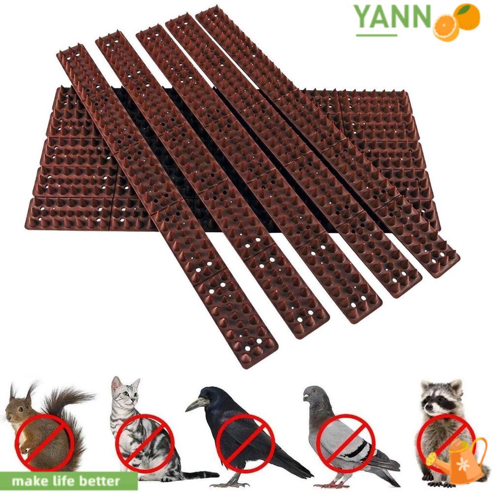 Set 10 Dụng Cụ Đuổi Chim Chóc / Mèo Chống Lão Hóa Tiện Dụng