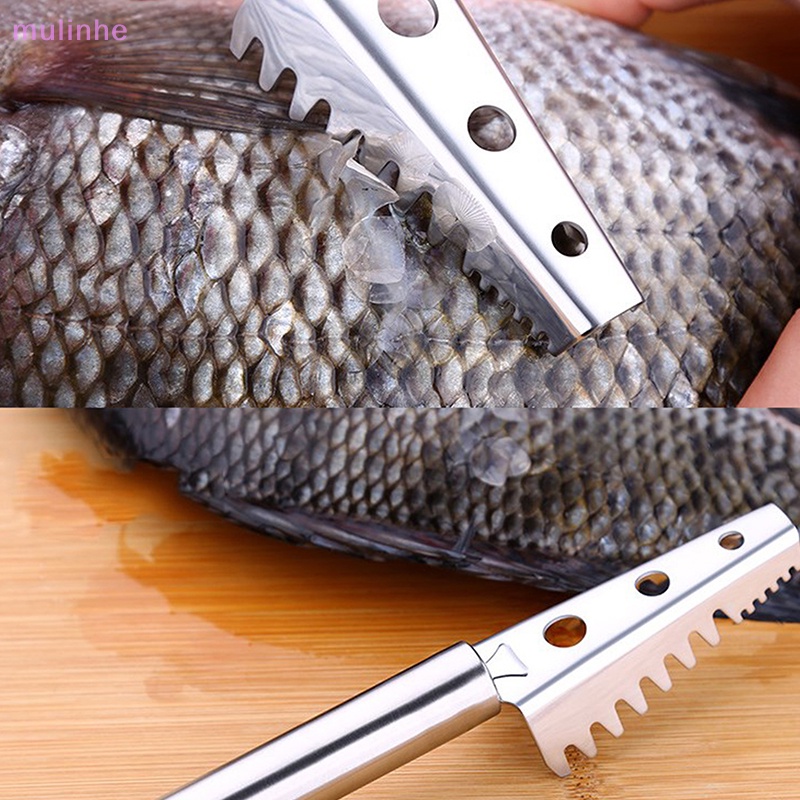 Dụng Cụ Đánh Vảy Cá Cầm Tay Bằng Thép Không Gỉ mulinhe