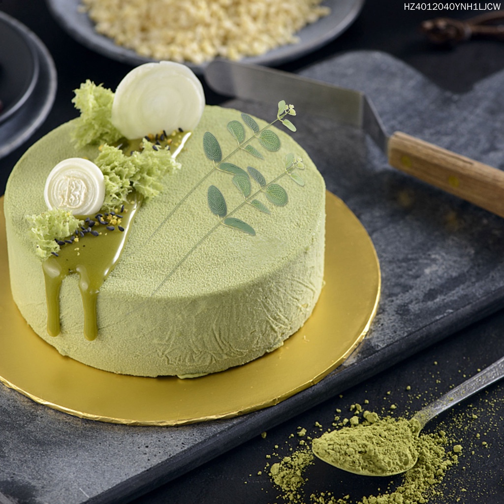 Set 10 Cành Lá Bạch Đàn Giả Trang Trí Đa Dụng Chất Lượng Cao