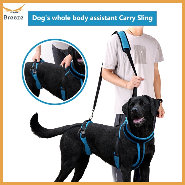 Đai Yếm Đeo Chân Giúp Hỗ Trợ Tăng Khả Năng Chống Chấn Thương Cho Thú Cưng