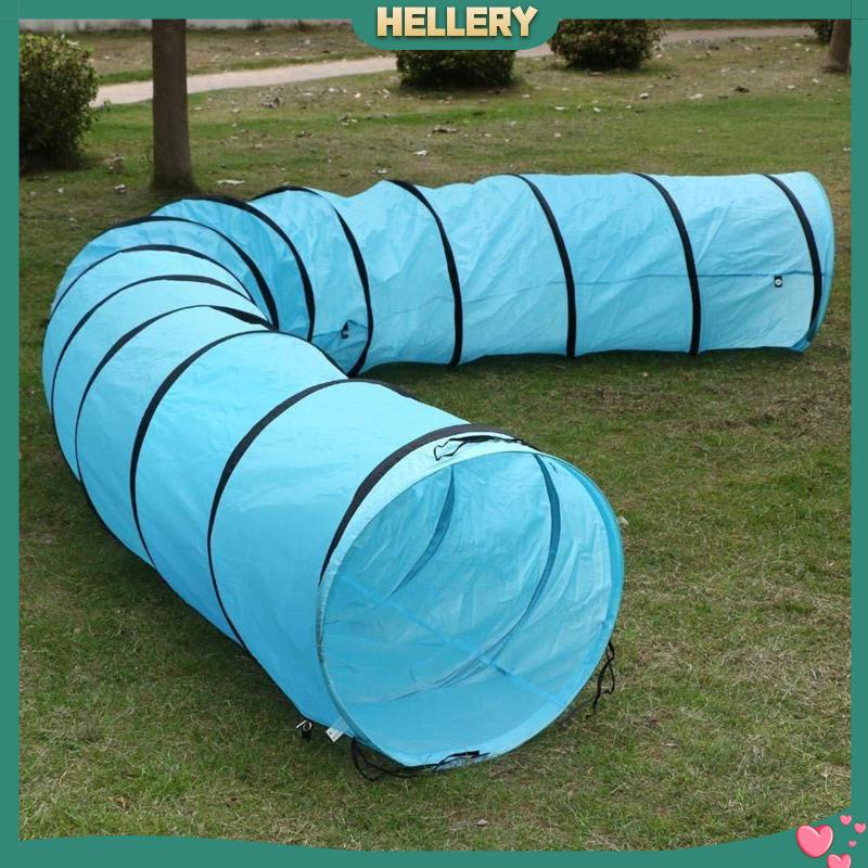 Đường Hầm Đồ Chơi Trọng Lượng Nhẹ Dành Cho Mèo Cưng