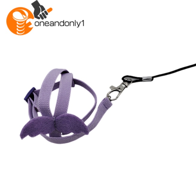 Dây Đai Dắt Chim Vẹt Đi Dạo Siêu Nhẹ Tùy Chỉnh Kèm Tay Cầm Thoải Mái Tiện Dụng