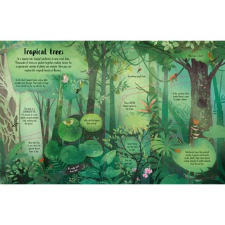 Sách Lift-the-Flap Trees (Board Book)