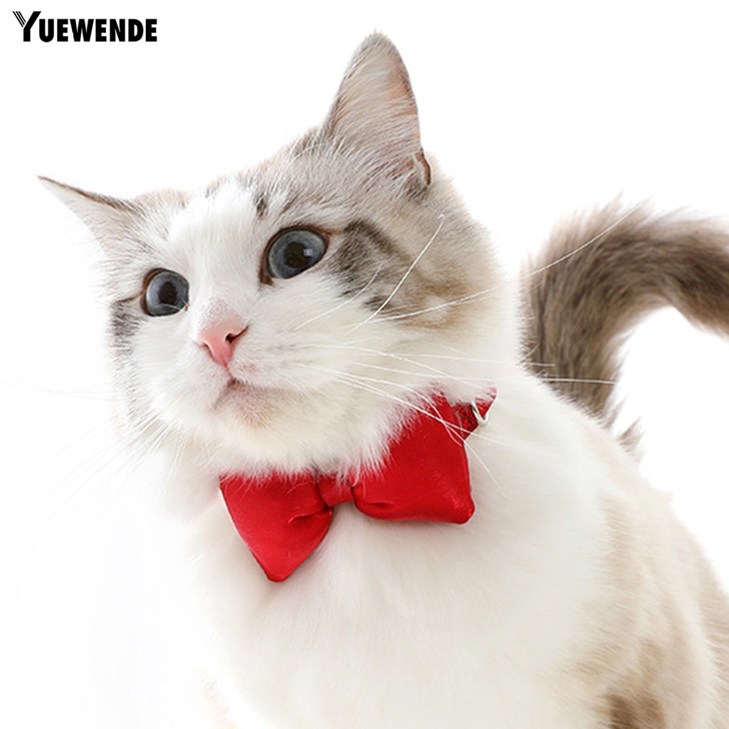 Vòng Cổ Đính Nơ Bằng Lụa Siêu Mềm Chống Mài Mòn Có Thể Điều Chỉnh Dùng Chụp Ảnh Cho Thú Cưng