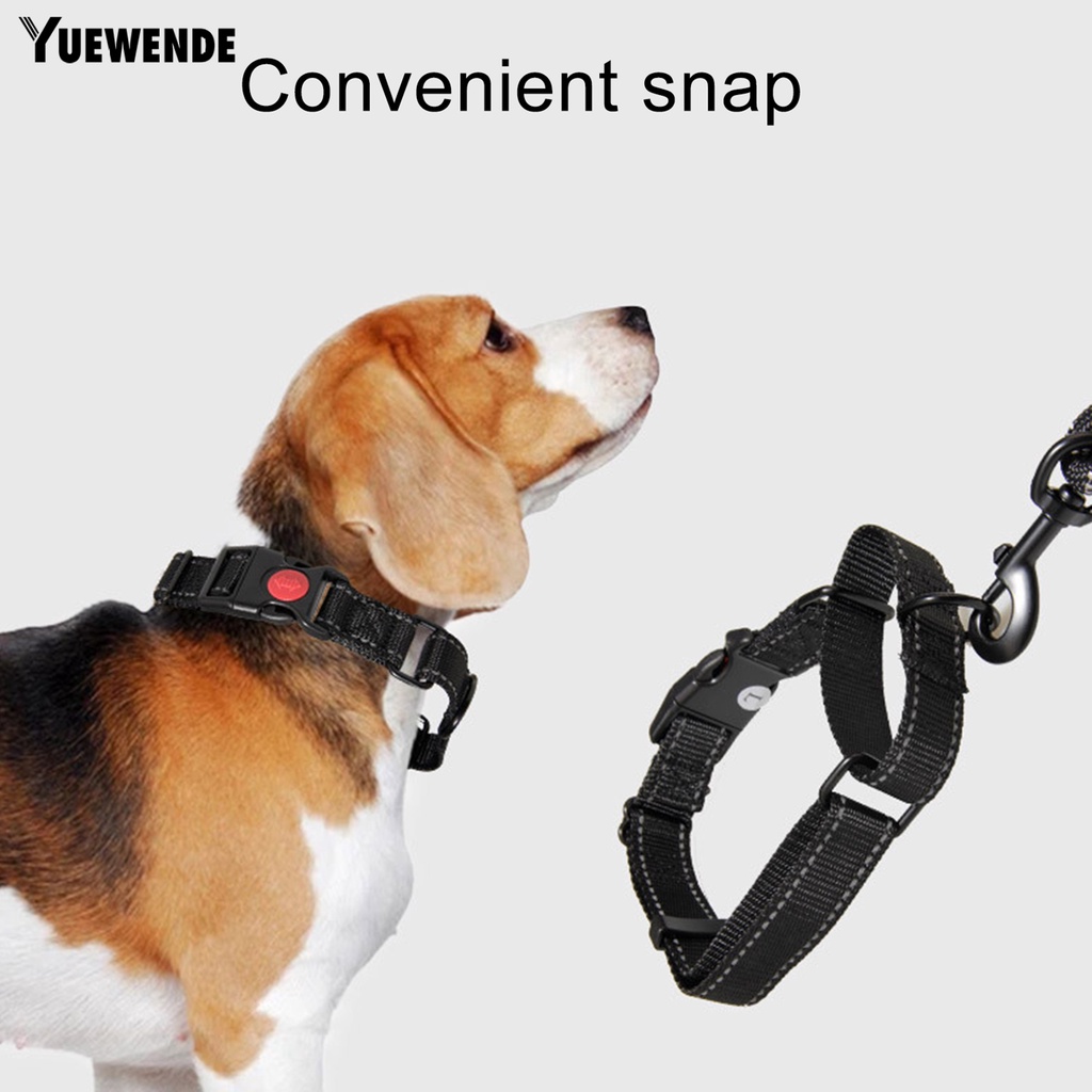 Bộ 2 Dây Dắt Thú Cưng Đi Dạo Chống Văng Có Thể Điều Chỉnh