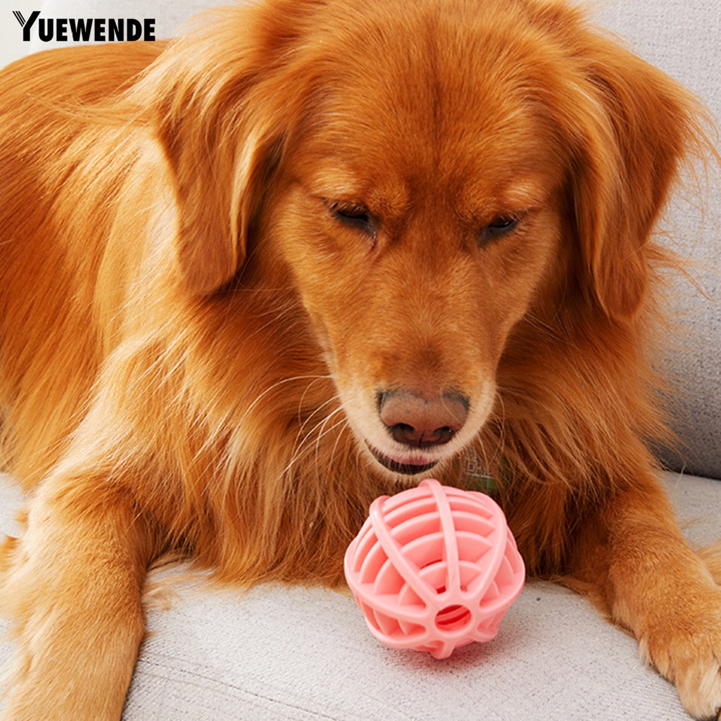 Đồ Chơi Bóng Gặm Chống Cắn Vui Nhộn Cho Thú Cưng