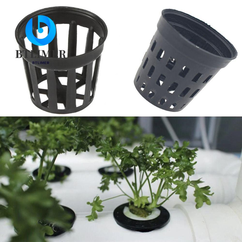 Set 40 Cây Cảnh Giả Trang Trí Bể Cá