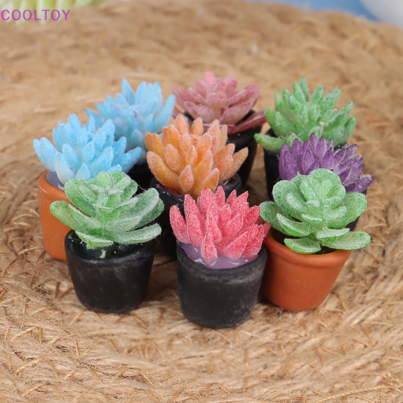 Set 5 Mô Hình Bình Nước COOLTOY Mini Tỉ Lệ 1: 12 Trang Trí Nhà Búp Bê