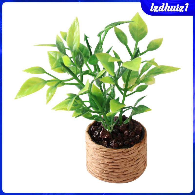 Mô Hình Chậu Cây Tiểu Cảnh Tỉ Lệ 1 / 12 Dùng Trang Trí Nhà Búp Bê