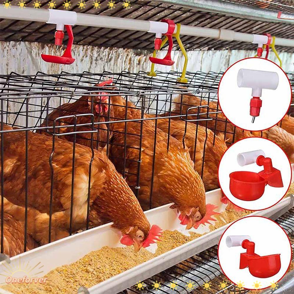 Bộ 20 Núm Ti Giả Hình Dạng Chữ T Thông Dụng Cho Gà