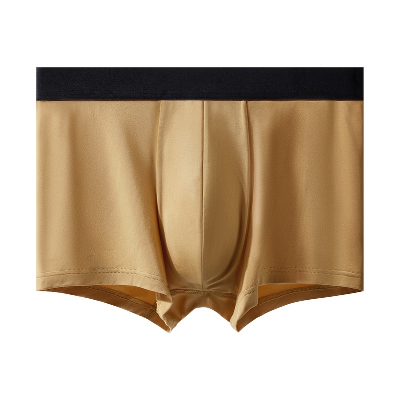 Bộ 60 Quần Lót Boxer Dệt Lụa Lạnh Eo Vừa Thoáng Khí Kháng Khuẩn Thời Trang Mùa Hè Cho Nam 5A