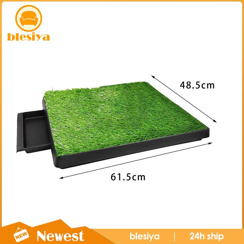 Đệm Cỏ Đi Vệ Sinh Cho Thú Cưng