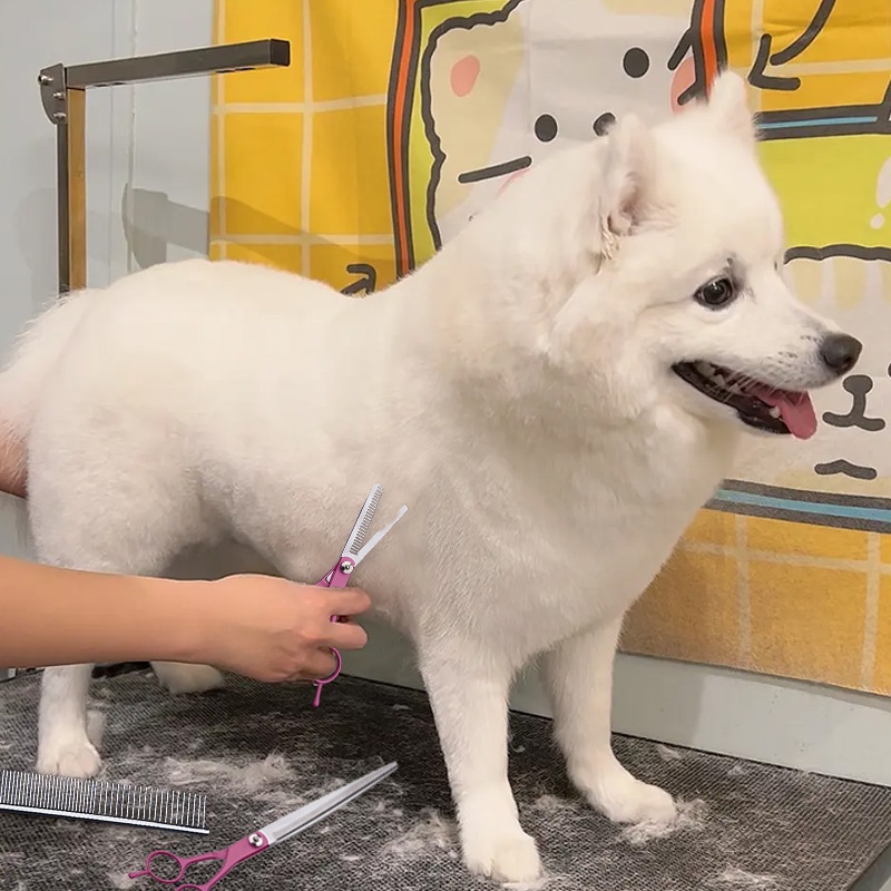 HamshMoc Dụng Cụ Chải Lông Chăm Sóc Thú Cưng Đầu Tròn Bằng Thép Không Gỉ