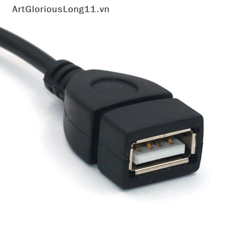 Dây Cáp Chuyển Đổi Đầu Cắm 3.5Mm AUX / MP3 Sang Cổng USB 2.0 Cho Xe Hơi