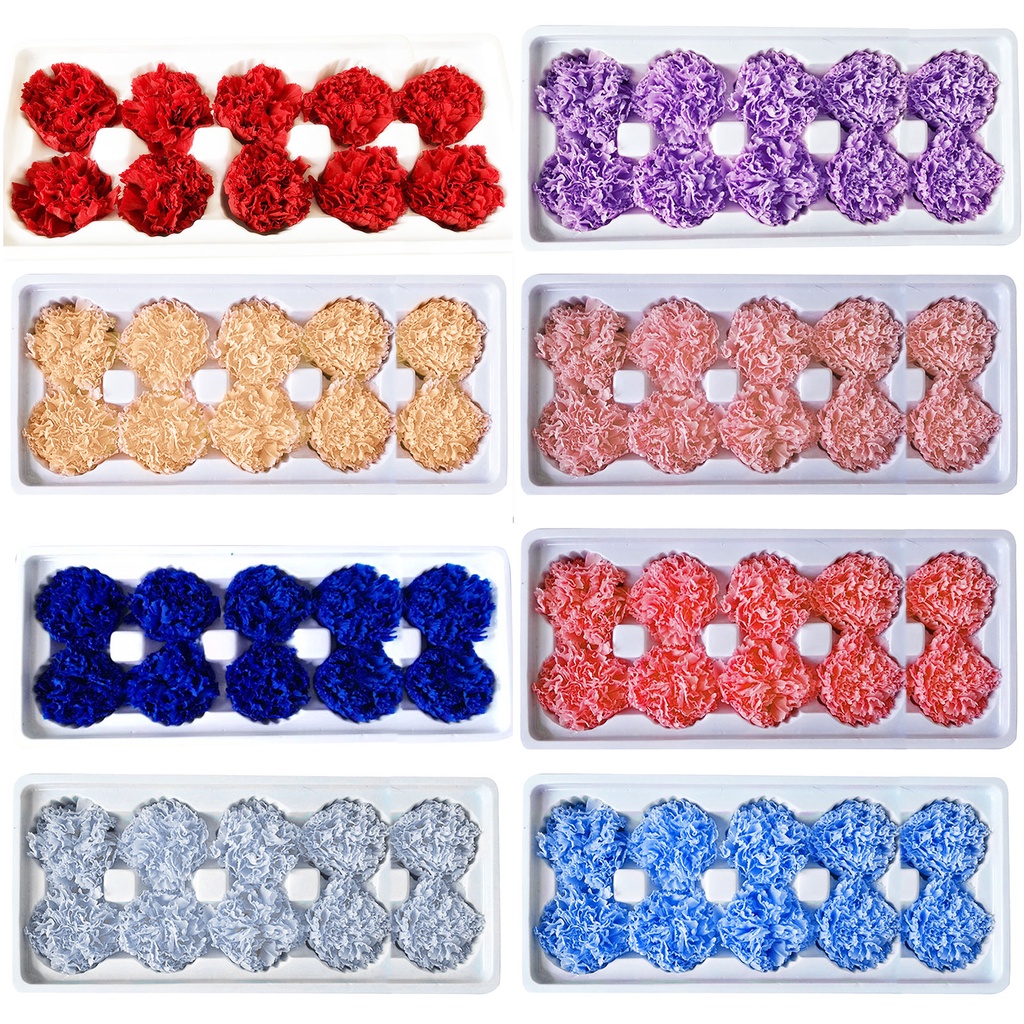 Bộ 10 Hoa Khô Nhiều Màu Sắc Dùng Trưng Bày Quà Tặng