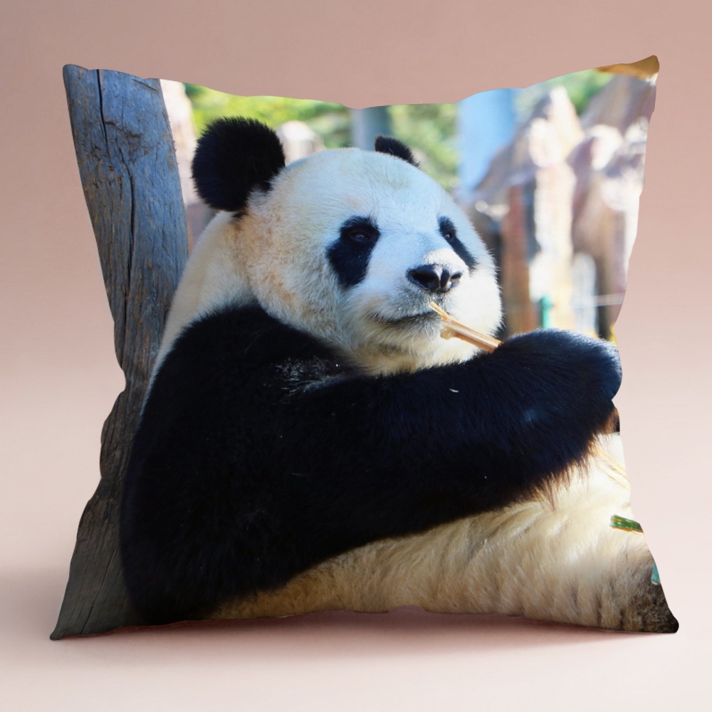 Vỏ Gối Đơn In Hình Gấu Trúc Feiyun Trang Trí Phòng Khách / Sofa / Xe Hơi