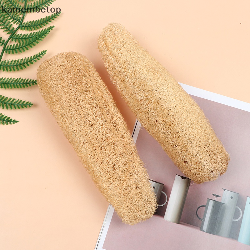 1 Bọt Biển Rửa Chén 20-25cm Bằng Xơ Mướp Tự Nhiên