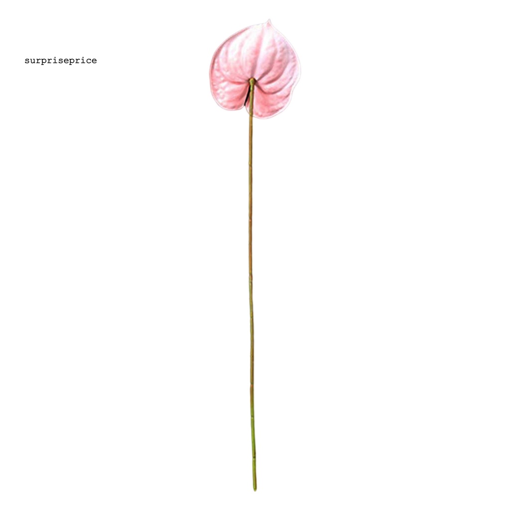 Nhánh Cây Xanh Đơn Giả Không Phai Dùng Trang Trí Phòng Khách SPA