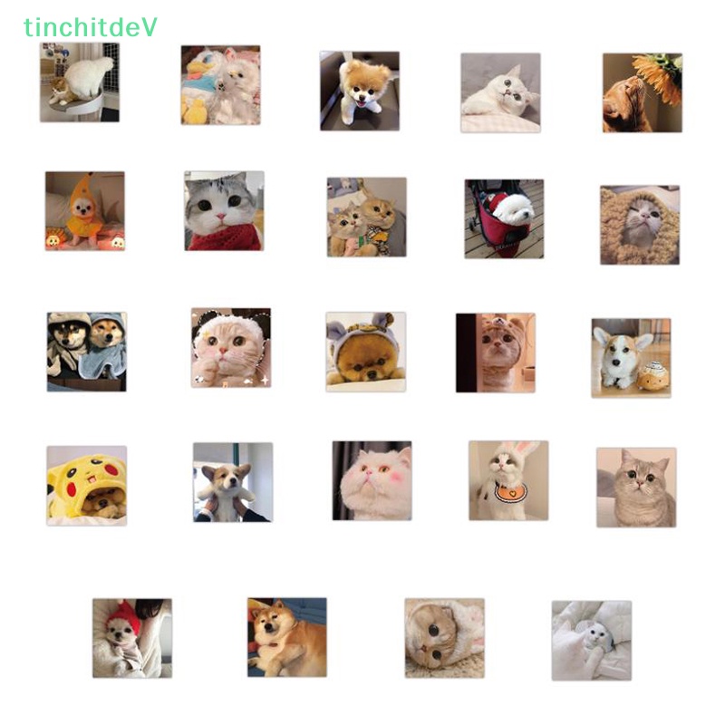 Set 48 Miếng Dán PVC Hình Mèo Graffiti Trang Trí Vali / Guitar / Tủ Lạnh