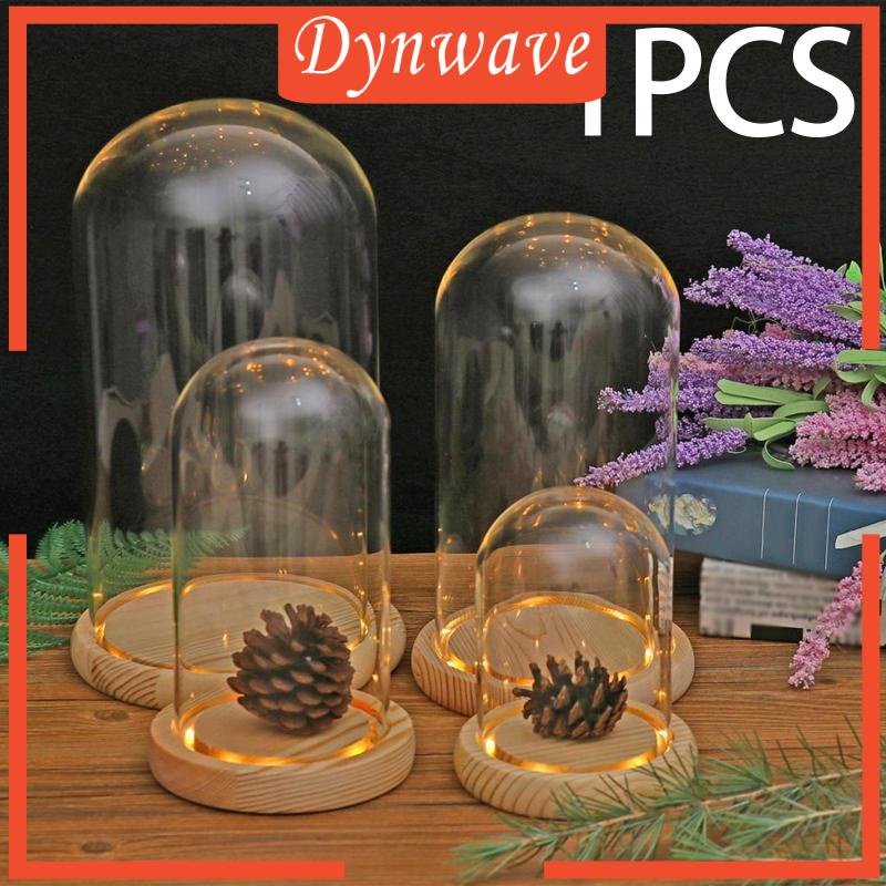 Hộp Kính Cloche Dome Cloche Trưng Bày Hoa Để Bàn Trang Trí Tiệc Cưới