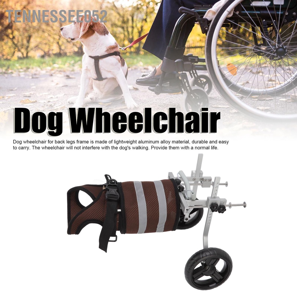 Xe lăn Cho Chó liệt hai chân sau 2 Bánh có đai yếm lưới thoáng khí Phản Quang