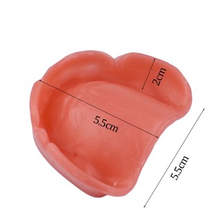 Mô Hình Hàm Răng Mềm Mại Dạy Học