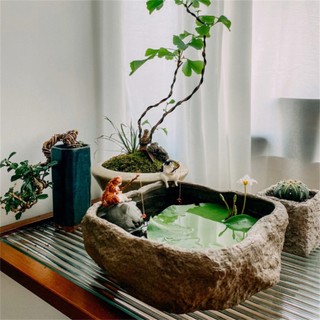 1 Chú Mèo Trang Trí Bể Cá