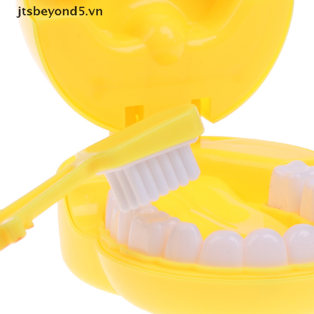 Set 4 Mô Hình Hàm Răng Đồ Chơi Giáo Dục Cho Bé
