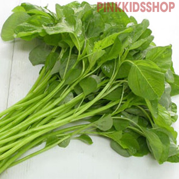 Hạt giống rau DỀN XANH LÁ TRÒN ĂN NGON NGỌT MỀM 20G PN HGR086DFG (chi lang shop)