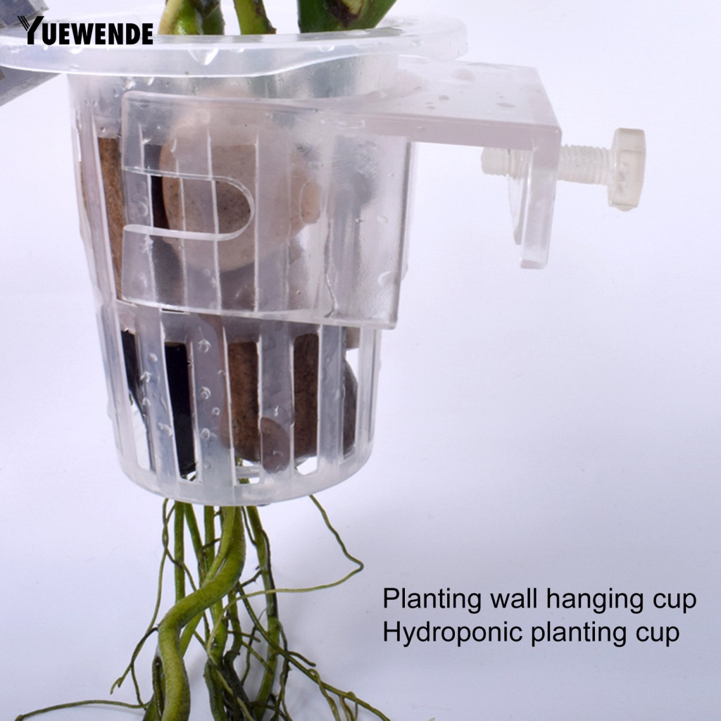 Yue.z Set 2 Giá Đỡ Cốc Trồng Cây Thủy Canh Chuyên Dụng Dễ Sử Dụng Dành Cho Bể Cá Cảnh