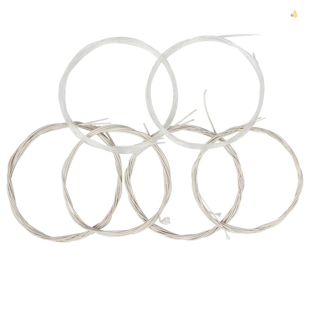 Bộ Dây Đàn Oud (G-D-A-E-B-F) 11 Dây Nylon Trong Suốt Mạ Đồng Bạc