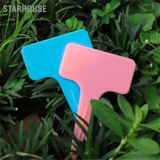 Starhouse 20 chiếc chữ t vườn nhãn làm dày vật có thẻ phân loại thực ký