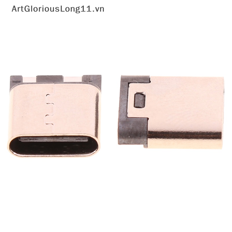 Set 10 Đầu Nối Ổ Cắm USB Loại C 2 Chấu 3A Chuyên Dụng