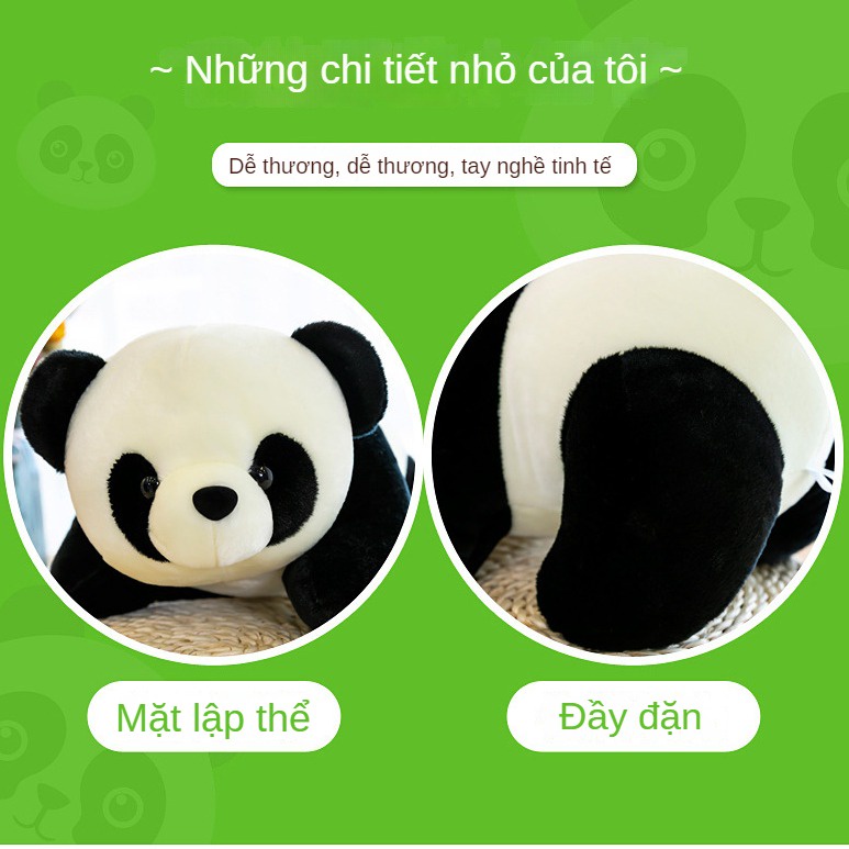 Thú Nhồi Bông Hình Gấu Trúc Xinh Xắn Dành Cho Bé