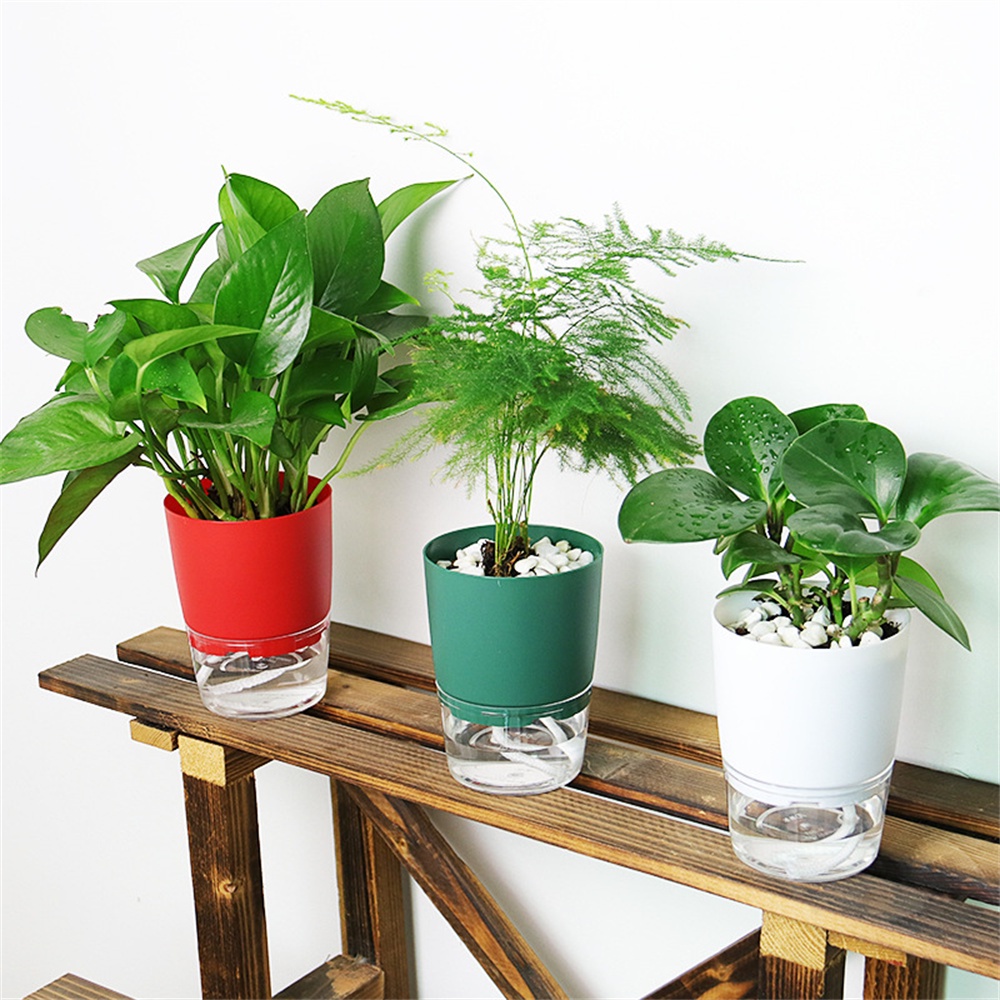 ♫ Chậu Hoa Tưới Nước Tự Động Nhiều Màu Sắc   Hoa Thủy Canh Tự Động Hút Nước   Kế Đôi Giỏ Trồng Cây Chậu Trồng Cây