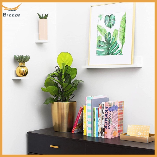 Set 4 Khung Hỗ Trợ Trồng Cây Dây Leo Trong Nhà Hình Chiếc Lá Dễ Thương