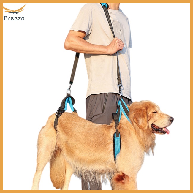 Đai Yếm Đeo Chân Giúp Hỗ Trợ Tăng Khả Năng Chống Chấn Thương Cho Thú Cưng