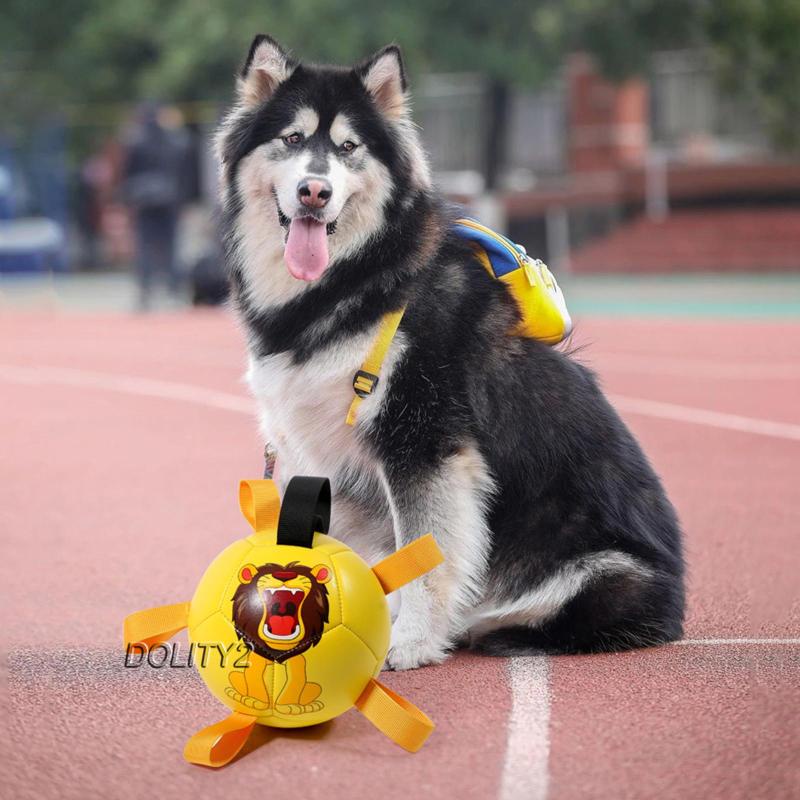 Đồ Chơi Bóng Đá Di Động Cho Cún Cưng Dolity2