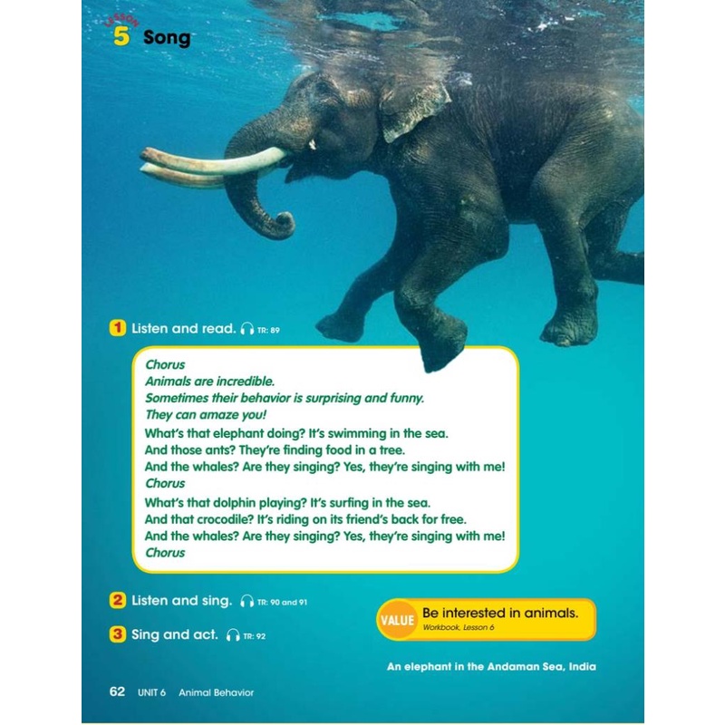 Look 3 Student's Book )