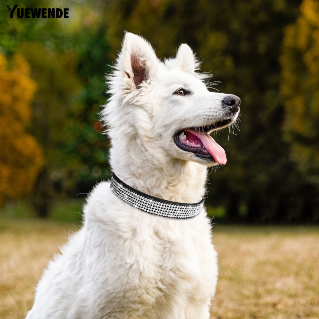 Vòng Cổ Giả Da Đính Đá Lấp Lánh Dành Cho Thú Cưng