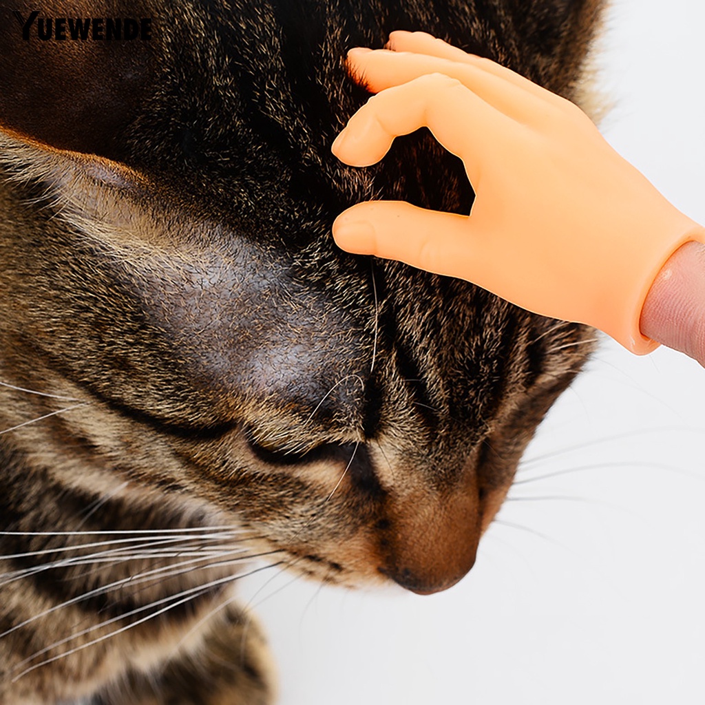 Set 6 Găng Tay Đồ Chơi Siêu Nhẹ Thú Vị Dành Cho Mèo Cưng