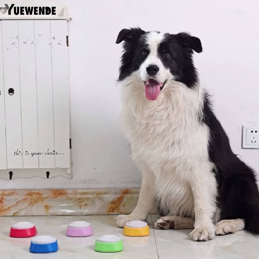 Yq.e Hộp Âm Thanh Đồ Chơi Tương Tác Với Thú Cưng Có Nút Nhấn