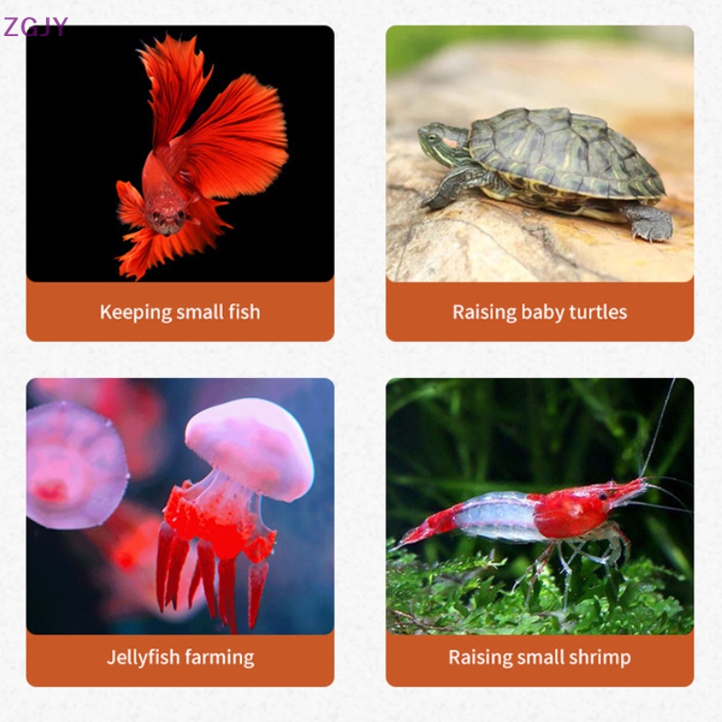 Hộp Đèn LED Hình Trụ Dùng Trang Trí Bể Cá / Bò Sát / Văn Phòng Độc Đáo Mới